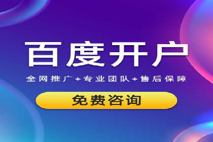 谷歌SEM案例研究：数据分析与效果评估